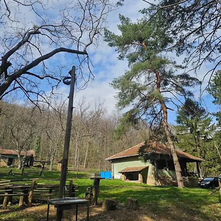 Fruskogorski Mir